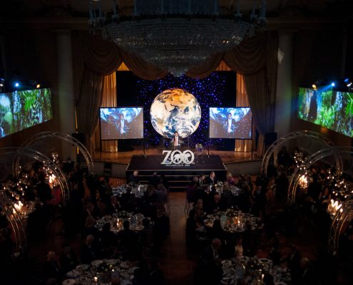 zoo gala 10' 10' diameter Earthball large globes